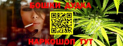 крисы Ставрополь