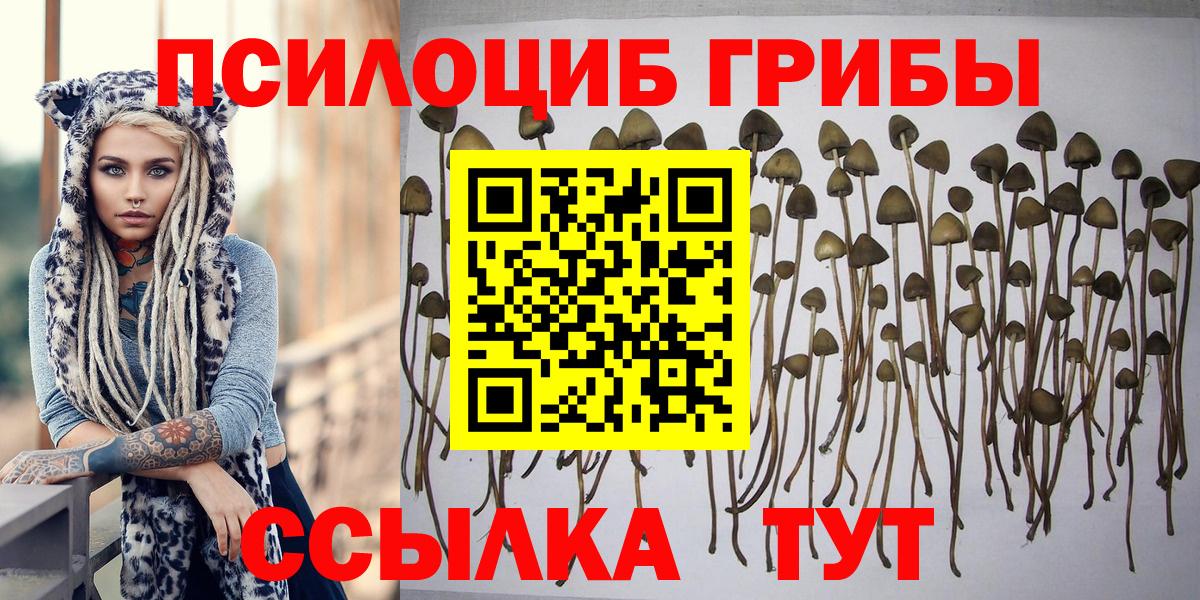 Псилоцибиновые грибы GOLDEN TEACHER  Псилоцибиновые грибы мухоморы  Вход с VPN  Новочеркасск 