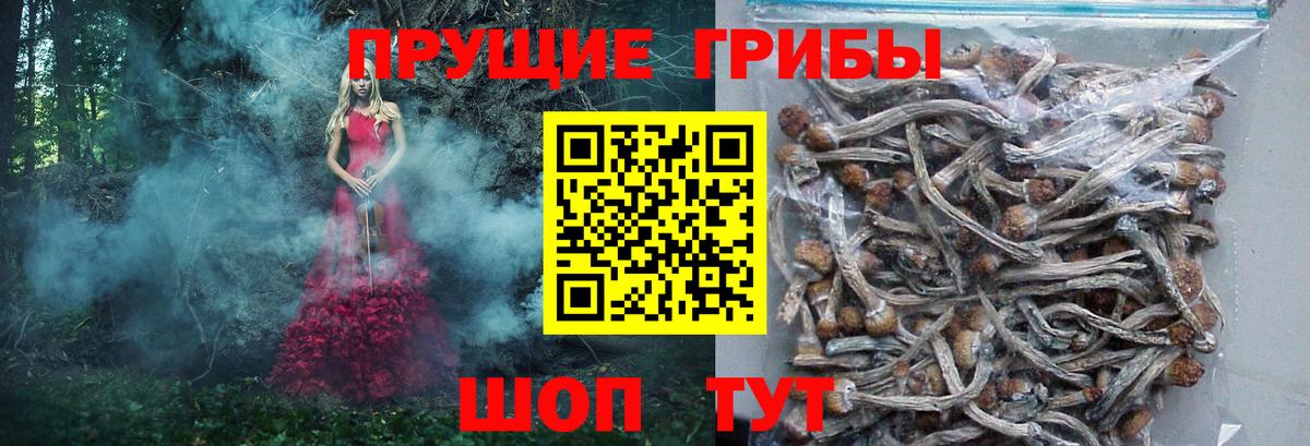 Псилоцибиновые грибы ЛСД Новочеркасск